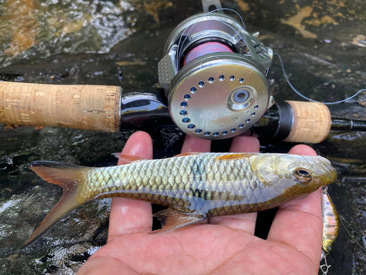 Loongze B100DBC-II: The Reel Review That's Spreading Like Wildfire – "Smoother and Easier Control" - Loongze Fishing Reel